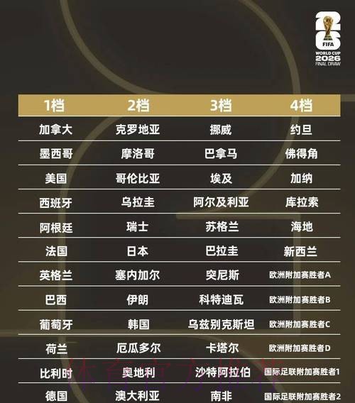 深入解析世界杯决赛下注网：赛事预测与博彩策略